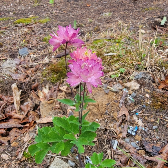 Meet your Posher, Trish - Picture 9 of 13